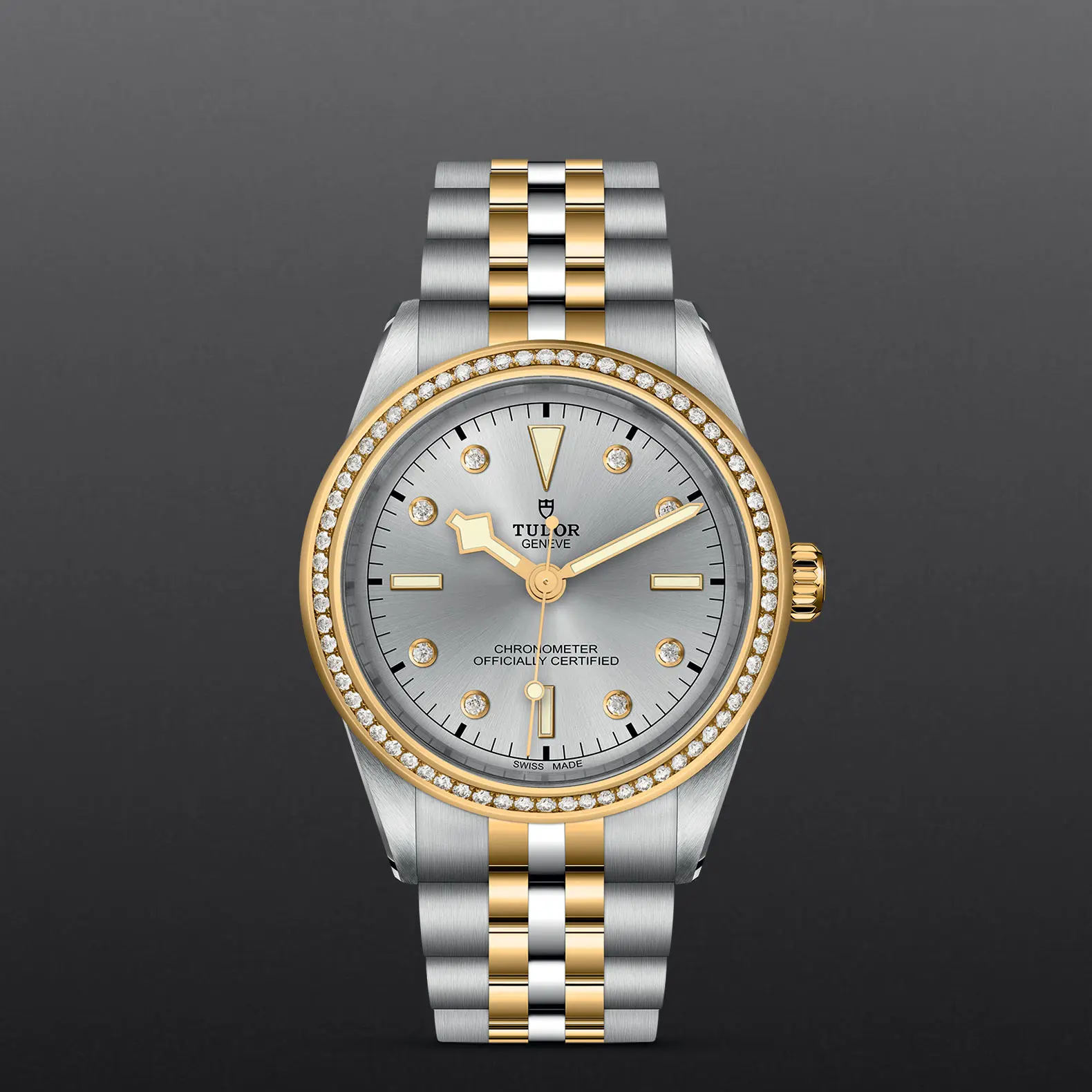 TUDORBlack Bay 39 S&GBlack Bay 31/36/39/4139mm steel case with polished and satin finish - M79673-0006 at Cortina Watch Singapore