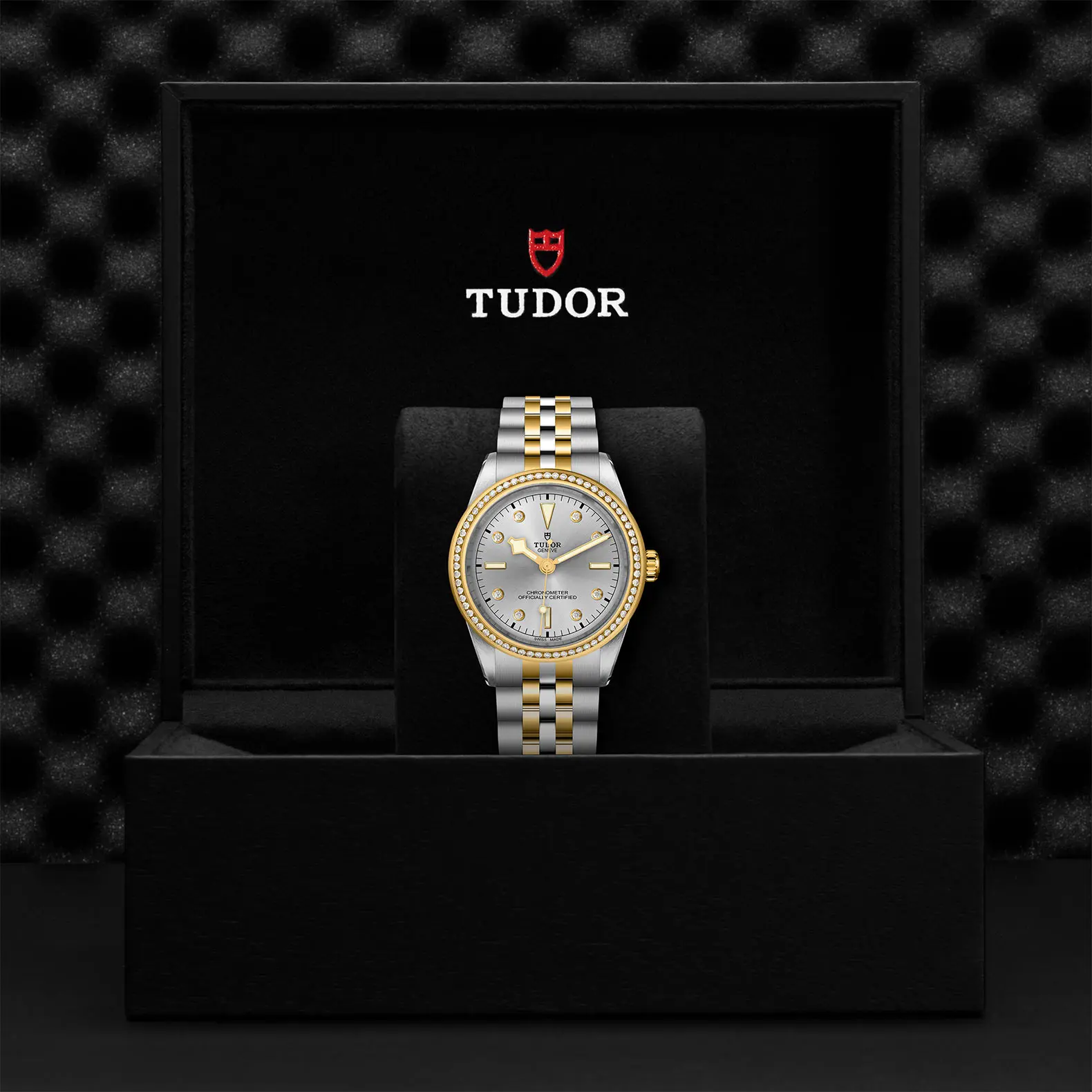 TUDORBlack Bay 39 S&GBlack Bay 31/36/39/4139mm steel case with polished and satin finish - M79673-0006 at Cortina Watch Singapore