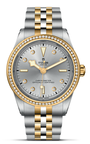 TUDOR碧湾型 39黄金钢款碧湾型 31/36/39/41磨光及磨砂钢表壳，直径39毫米 - M79673-0006 at Cortina Watch Singapore