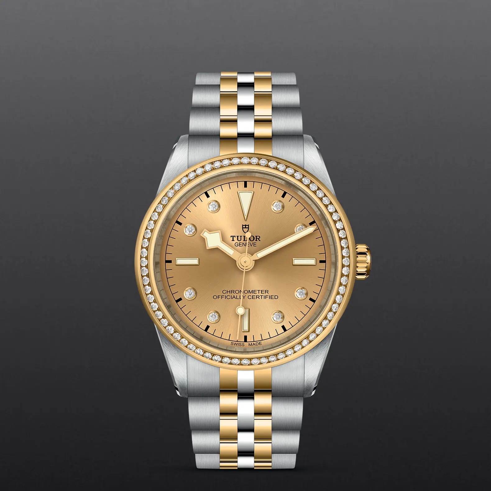 TUDORBlack Bay 39 S&GBlack Bay 31/36/39/4139mm steel case with polished and satin finish - M79673-0007 at Cortina Watch Singapore