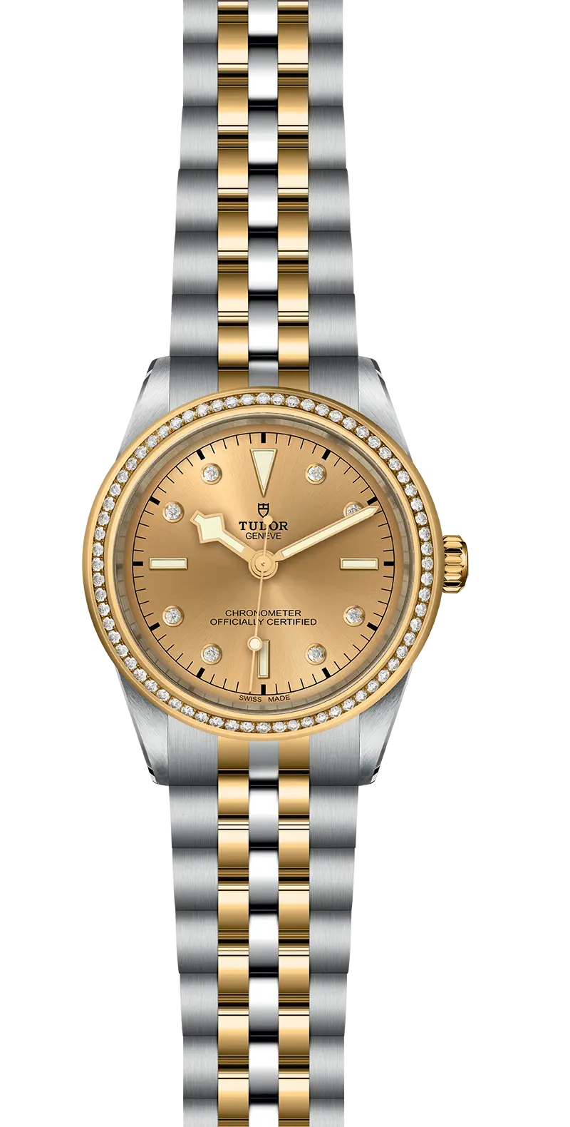 TUDORBlack Bay 39 S&GBlack Bay 31/36/39/4139mm steel case with polished and satin finish - M79673-0007 at Cortina Watch Singapore