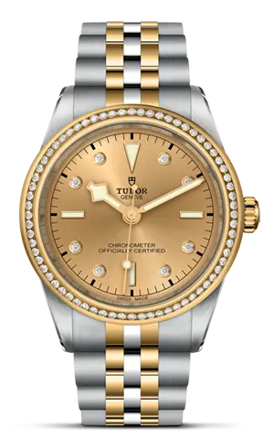 TUDORBlack Bay 39 S&GBlack Bay 31/36/39/4139mm steel case with polished and satin finish - M79673-0007 at Cortina Watch Singapore