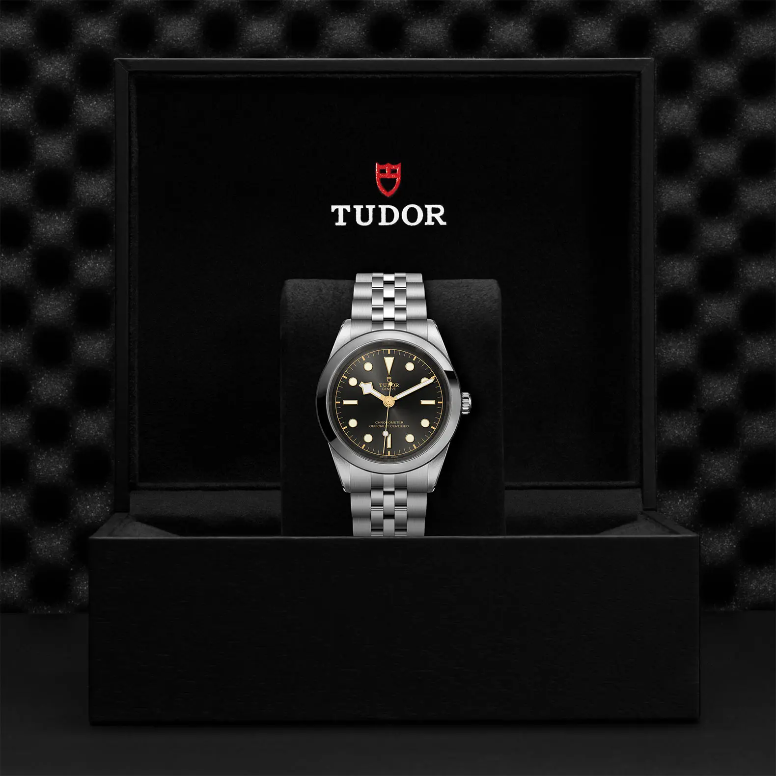 TUDORBlack Bay 41Black Bay 31/36/39/4141mm steel case with polished and satin finish - M79680-0001 at Cortina Watch Singapore