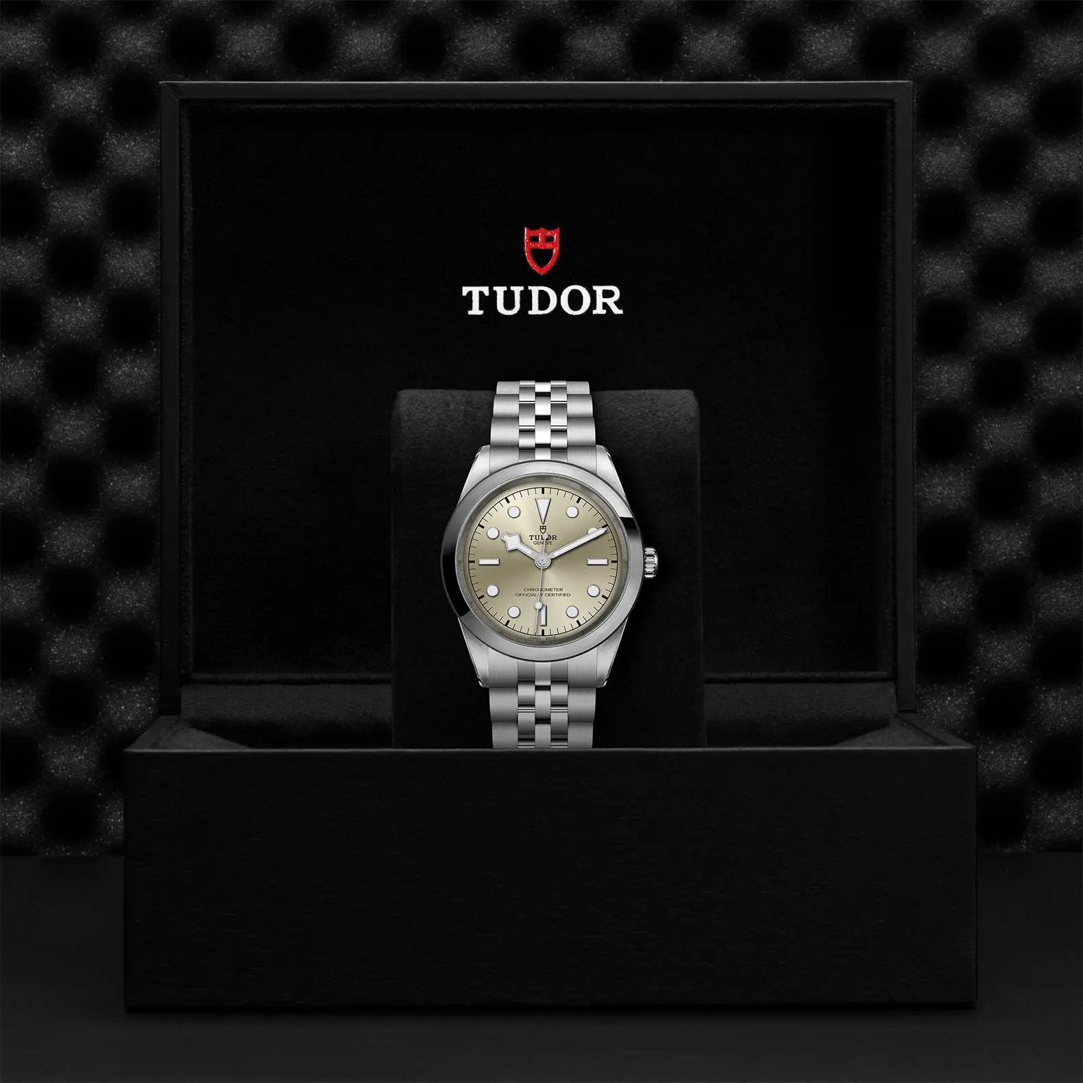 TUDORBlack Bay 41Black Bay 31/36/39/4141mm steel case with polished and satin finish - M79680-0003 at Cortina Watch Singapore