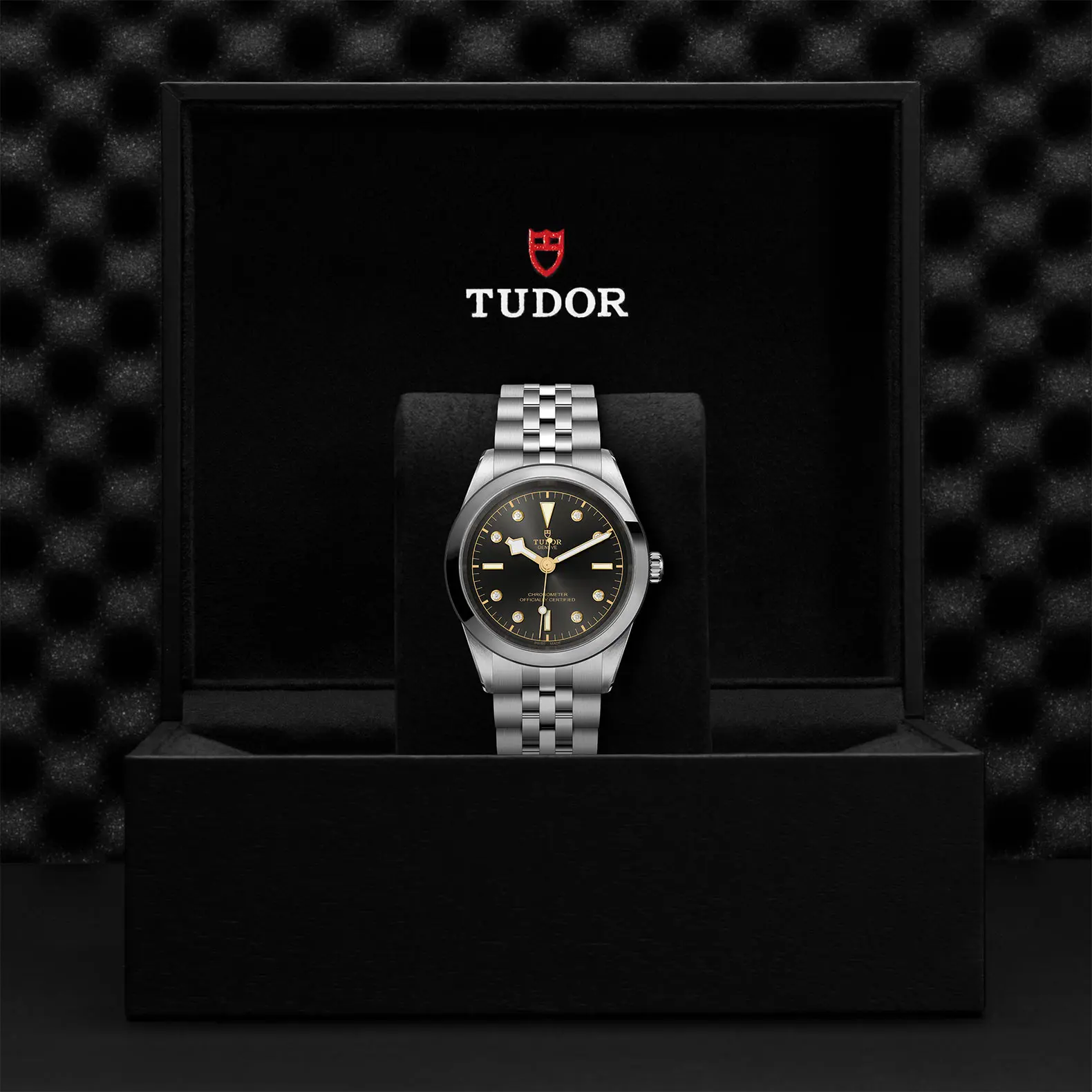 TUDORBlack Bay 41Black Bay 31/36/39/4141mm steel case with polished and satin finish - M79680-0004 at Cortina Watch Singapore