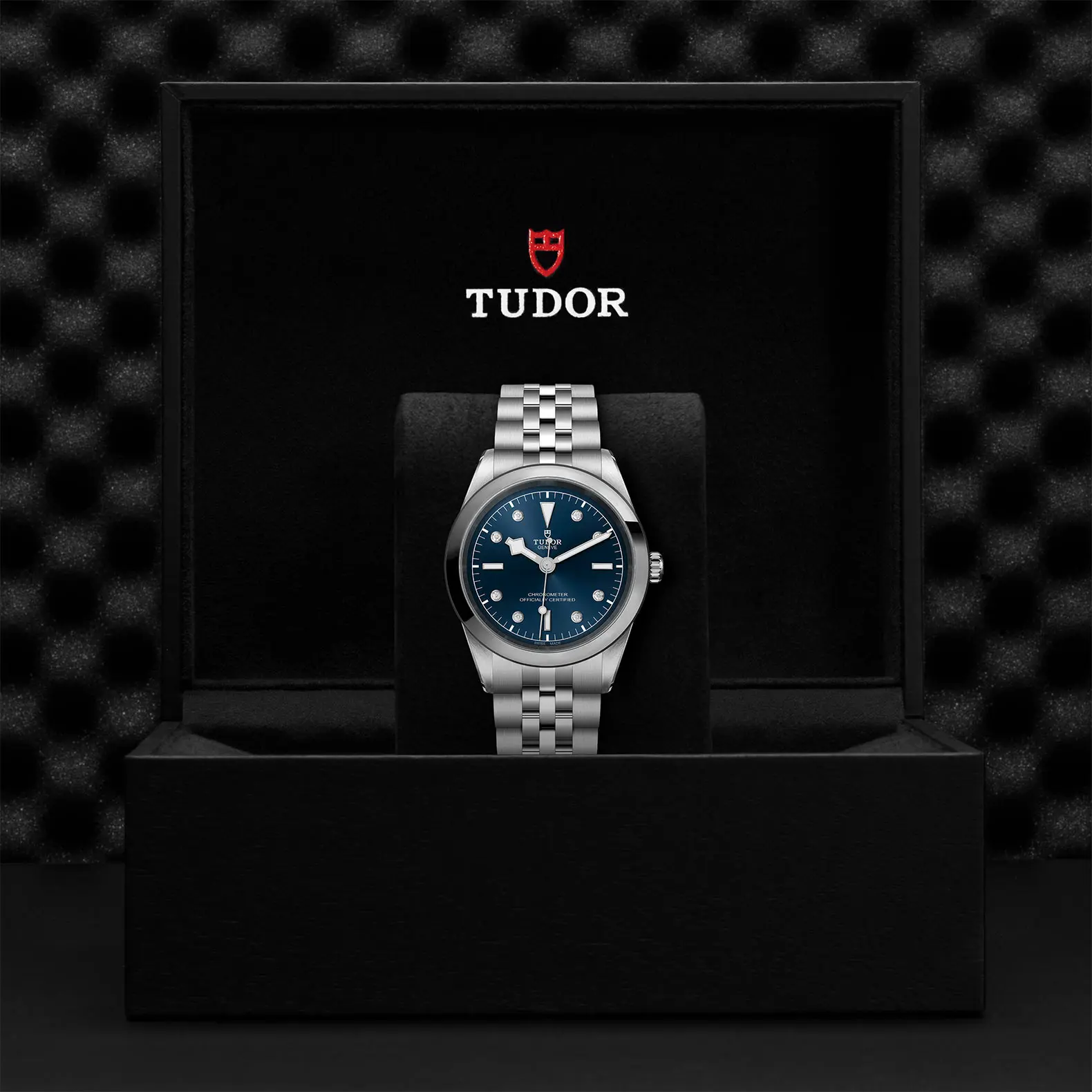 TUDORBlack Bay 41Black Bay 31/36/39/4141mm steel case with polished and satin finish - M79680-0005 at Cortina Watch Singapore
