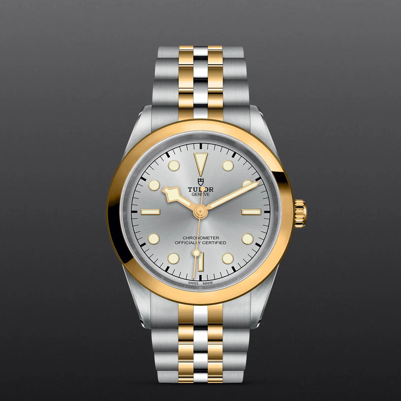 TUDOR碧湾型 41黄金钢款碧湾型 31/36/39/41磨光及磨砂钢表壳，直径41毫米 - M79683-0002 at Cortina Watch Singapore