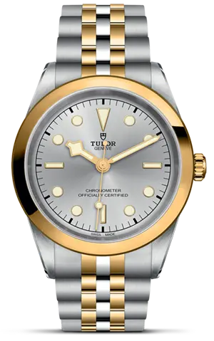 TUDORBlack Bay 41 S&GBlack Bay 31/36/39/4141mm steel case with polished and satin finish - M79683-0002 at Cortina Watch Singapore