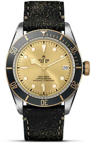 TUDOR碧湾黄金钢型碧湾磨光及磨砂钢表壳，直径41毫米 - M79733N-0003 at Cortina Watch Singapore