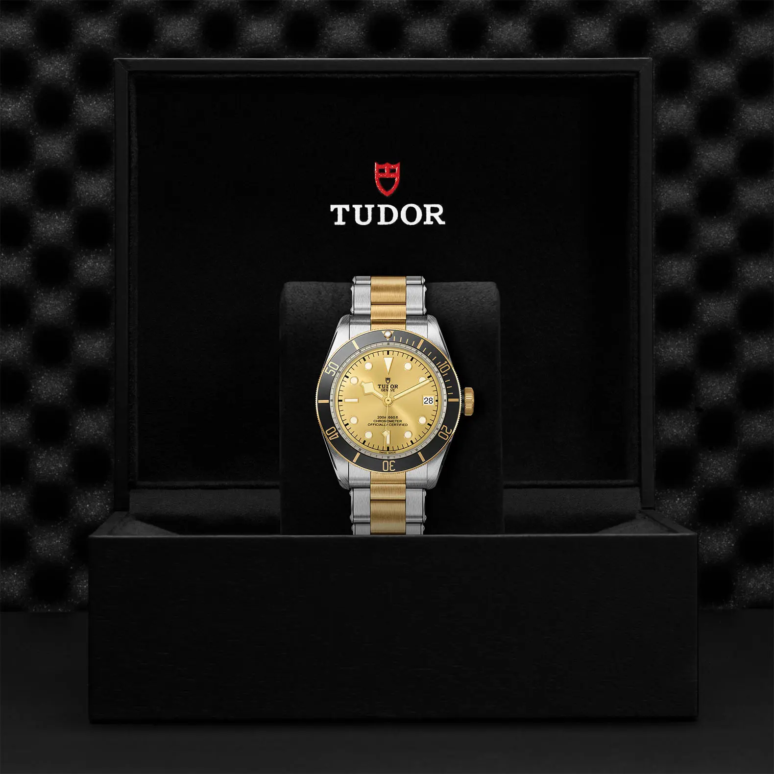 TUDORBlack Bay S&GBlack Bay41mm steel case with polished and satin finish - M79733N-0004 at Cortina Watch Singapore