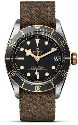 TUDOR碧湾黄金钢型碧湾磨光及磨砂钢表壳，直径41毫米 - M79733N-0005 at Cortina Watch Singapore