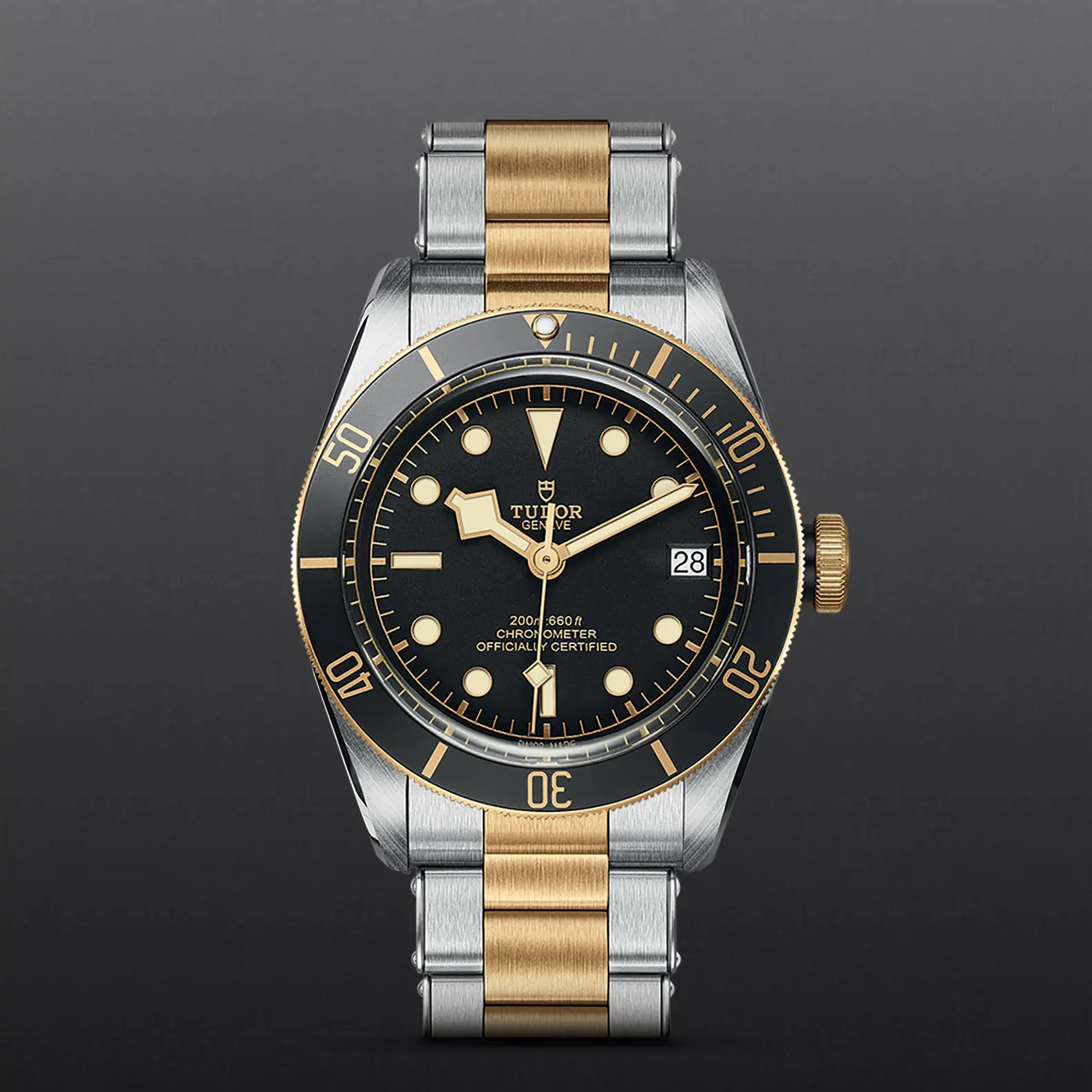 TUDORBlack Bay S&GBlack Bay41mm steel case with polished and satin finish - M79733N-0008 at Cortina Watch Singapore