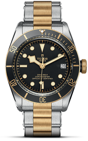 TUDOR碧湾黄金钢型碧湾磨光及磨砂钢表壳，直径41毫米 - M79733N-0008 at Cortina Watch Singapore