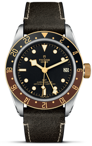 TUDOR碧湾格林尼治型黄金钢款碧湾格林尼治型磨光及磨砂钢表壳，直径41毫米 - M79833MN-0003 at Cortina Watch Singapore