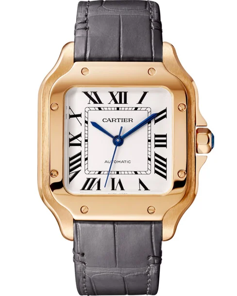 Santos de Cartier Medium Model - Cortina Watch Singapore