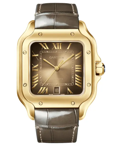 Santos de Cartier - Cortina Watch Singapore