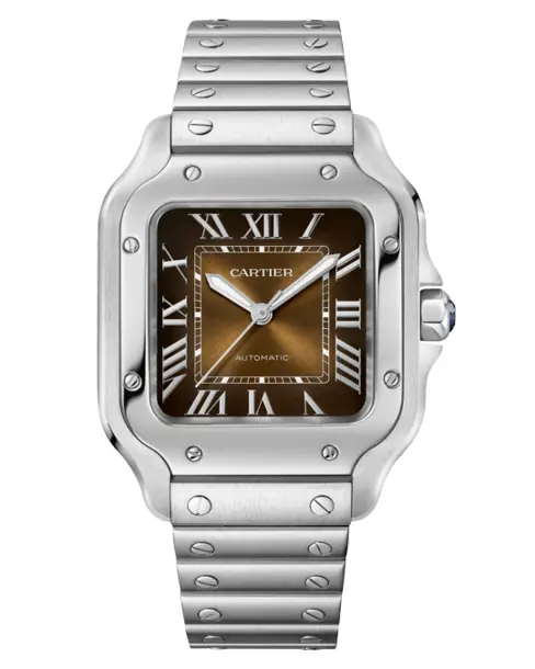 Santos de Cartier - Cortina Watch Singapore