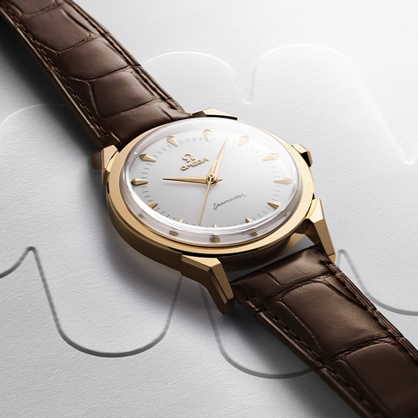 A Timeless Companion