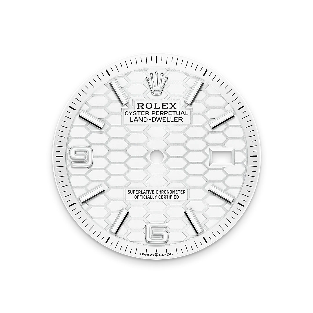 Rolex Land-Dweller in White Rolesor - combination of Oystersteel and white gold, M127234-0001 - Cortina Watch Singapore