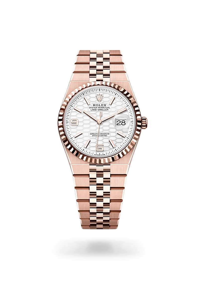 Rolex Land-Dweller in 18 ct Everose gold, M127235-0001 - Cortina Watch Singapore