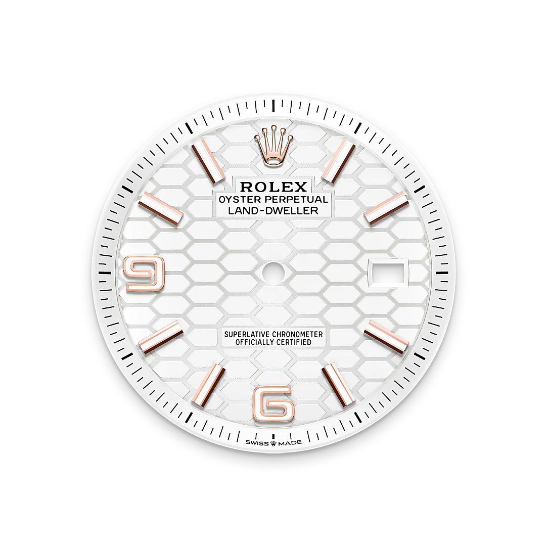 Rolex Land-Dweller in 18 ct Everose gold, M127335-0001 - Cortina Watch Singapore
