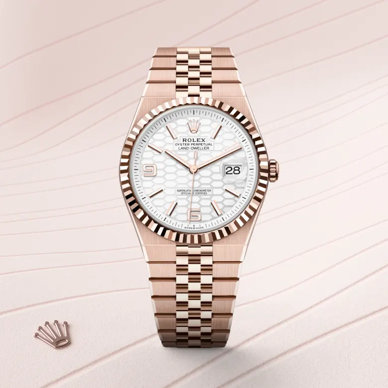 Rolex Land-Dweller in 18 ct Everose gold, M127335-0001 - Cortina Watch Singapore
