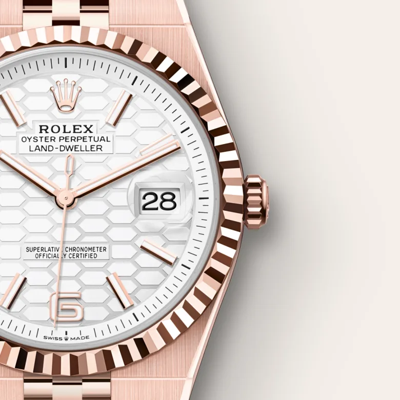 Rolex Land-Dweller in 18 ct Everose gold, M127335-0001 - Cortina Watch Singapore