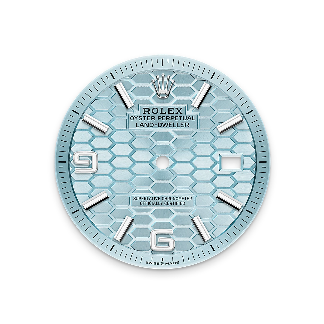 Rolex Land-Dweller in Platinum, M127336-0001 - Cortina Watch Singapore