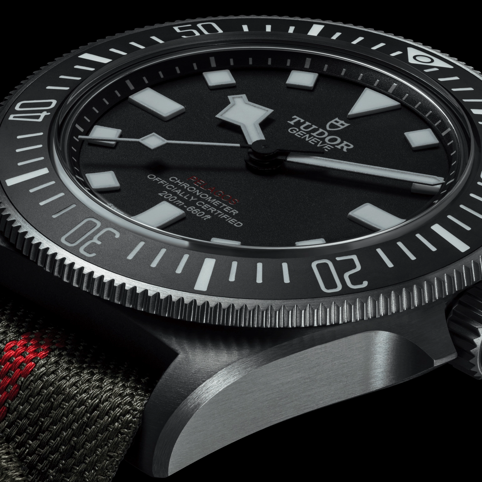 TUDORPelagos FXDPelagos FXDTitanium case, 42mm in diameter, 12.75mm thick, 52mm from lug to lug, satin-brushed finish Fixed bracelet bars Steel case back - M25717N-0001 at Cortina Watch Singapore
