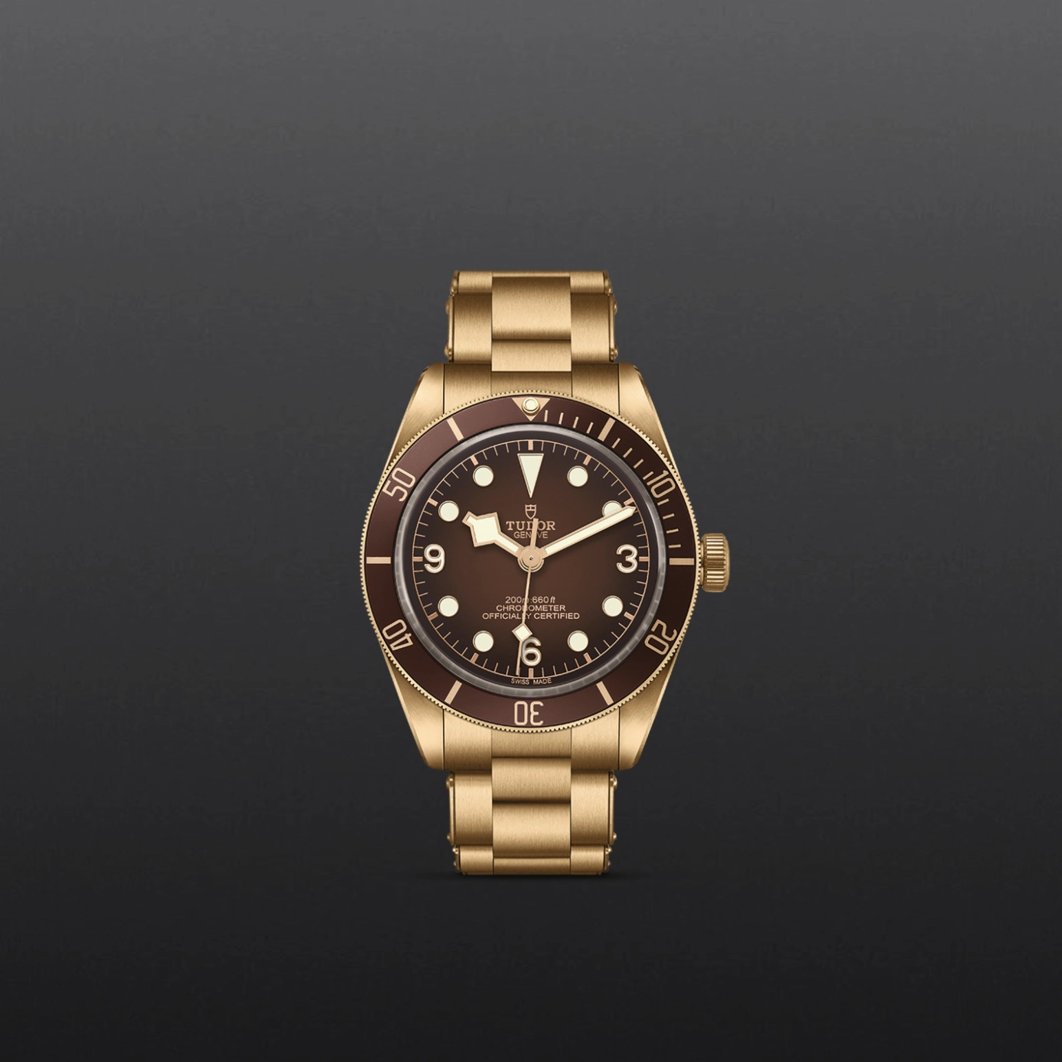 TUDOR碧湾1958型青铜款Black Bay 58磨砂青铜表壳，直径39毫米，将随佩戴者习惯，呈现出独一无二的色泽 - M79012M-0001 at Cortina Watch Singapore