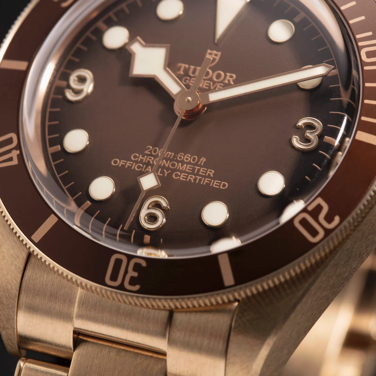 TUDOR碧湾1958型青铜款Black Bay 58磨砂青铜表壳，直径39毫米，将随佩戴者习惯，呈现出独一无二的色泽 - M79012M-0001 at Cortina Watch Singapore