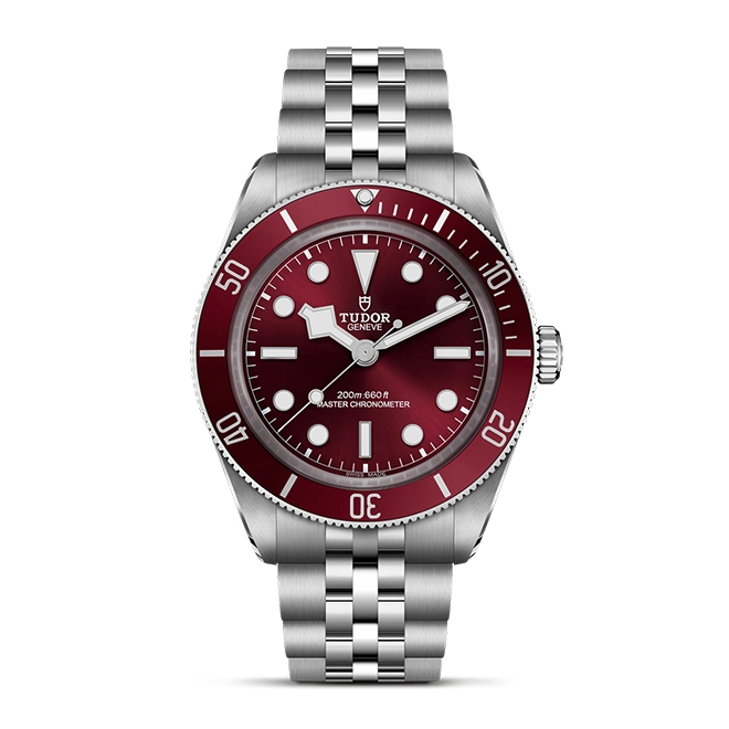 TUDORBlack Bay 58Black Bay 5839mm stainless steel case with polished and satin finishes - M7939A1A0RU-0001 at Cortina Watch Singapore