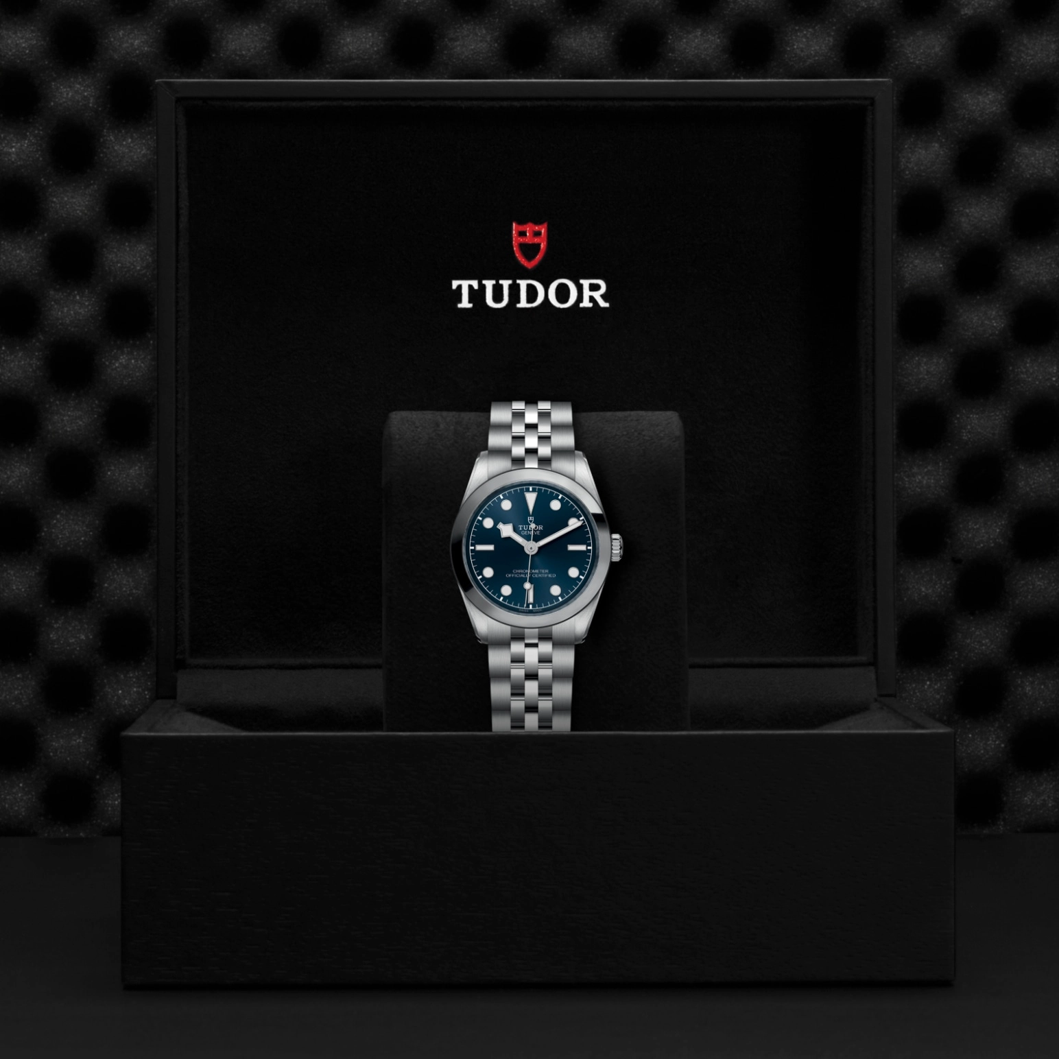 TUDOR碧湾一型 31Black Bay One磨光及磨砂不锈钢表壳，直径31毫米 - M79600-0002 at Cortina Watch Singapore