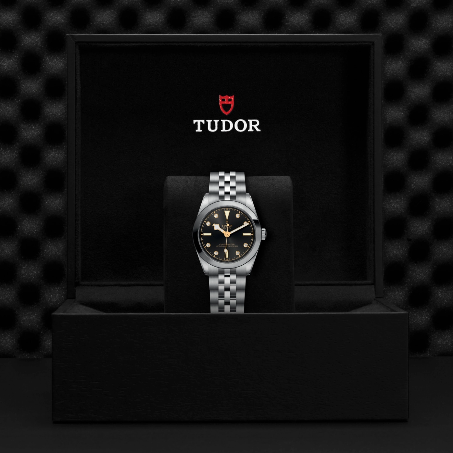 TUDORBlack Bay One 31Black Bay One31mm stainless steel case with polished and satin finish - M79600-0004 at Cortina Watch Singapore