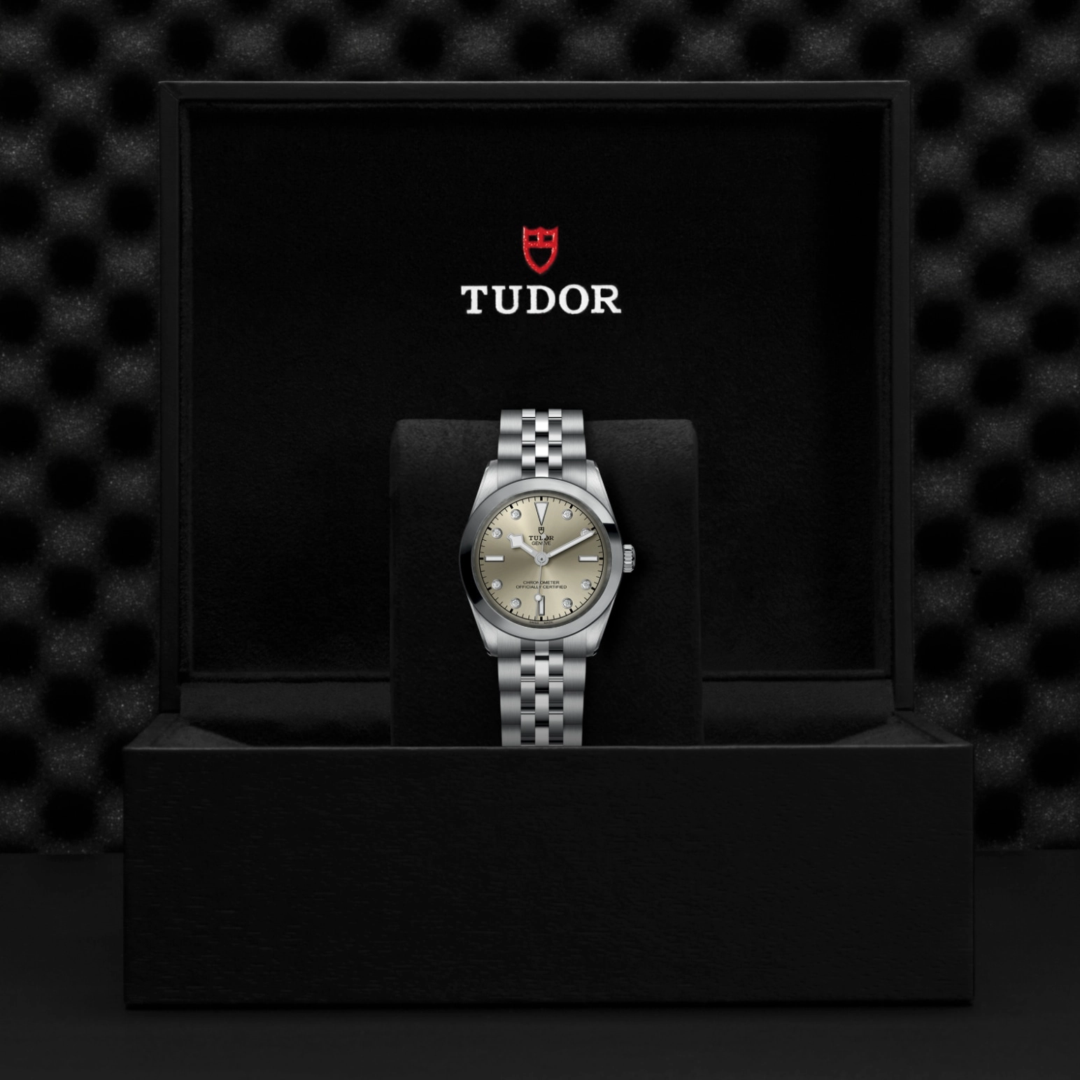 TUDORBlack Bay One 31Black Bay One31mm stainless steel case with polished and satin finish - M79600-0006 at Cortina Watch Singapore