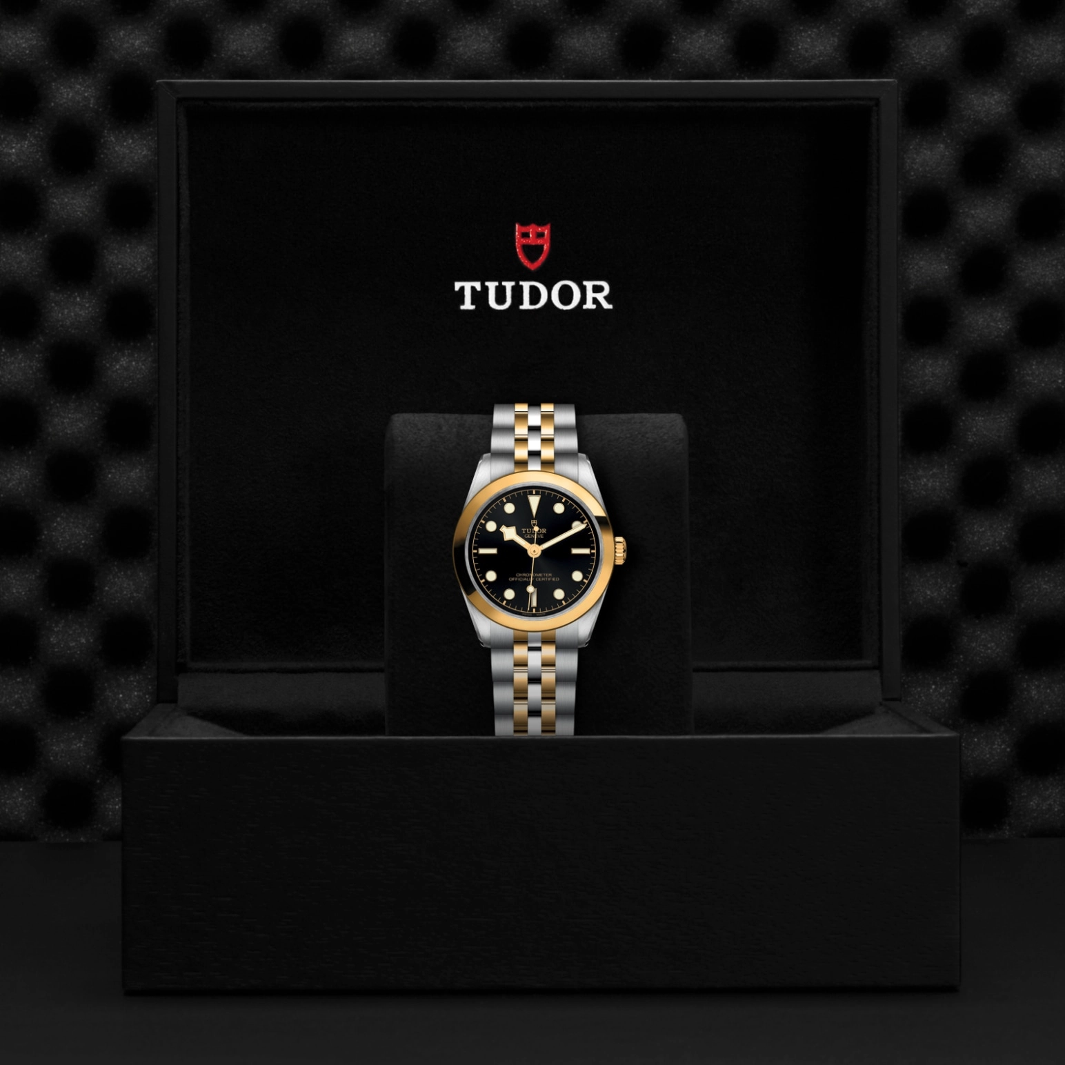 TUDORBlack Bay One 31 S&GBlack Bay One31mm steel case with polished and satin finish - M79603-0001 at Cortina Watch Singapore
