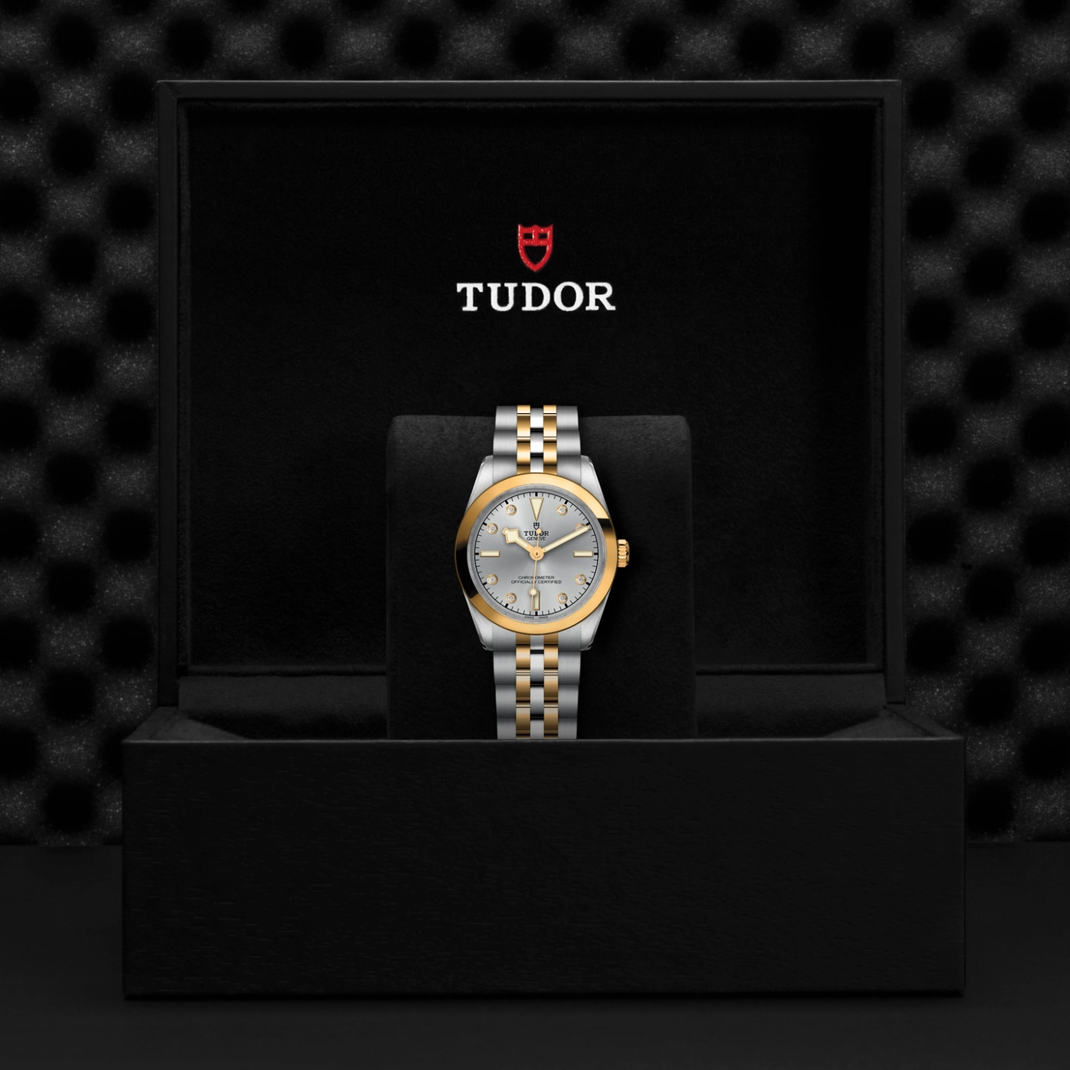 TUDORBlack Bay One 31 S&GBlack Bay One31mm steel case with polished and satin finish - M79603-0007 at Cortina Watch Singapore