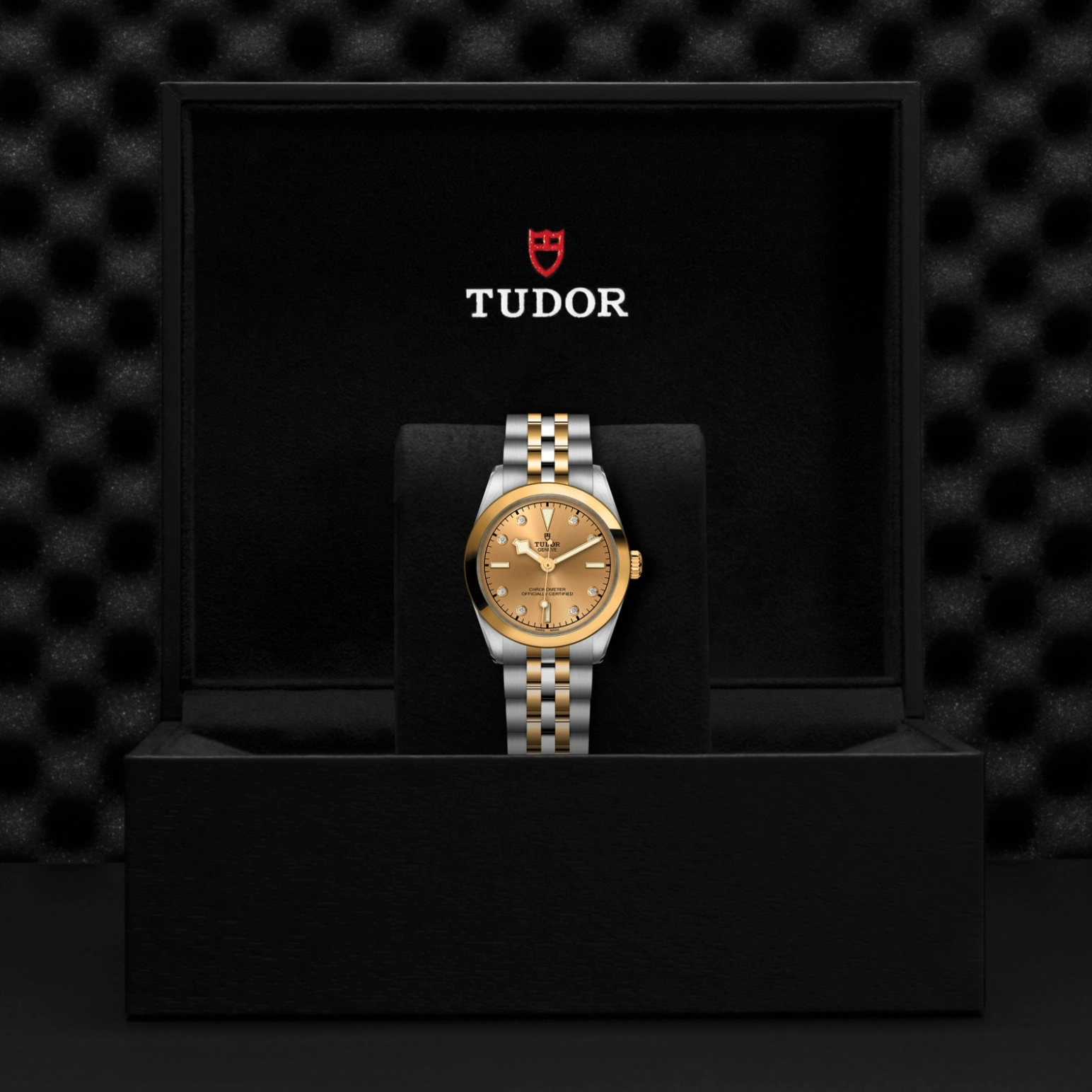 TUDORBlack Bay One 31 S&GBlack Bay One31mm steel case with polished and satin finish - M79603-0008 at Cortina Watch Singapore