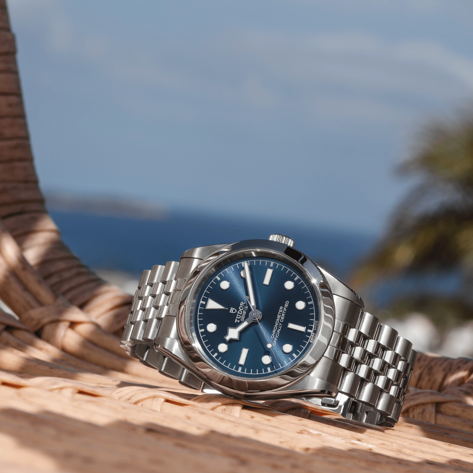 TUDORBlack Bay One 39Black Bay One39mm stainless steel case with polished and satin finish - M79660-0002 at Cortina Watch Singapore