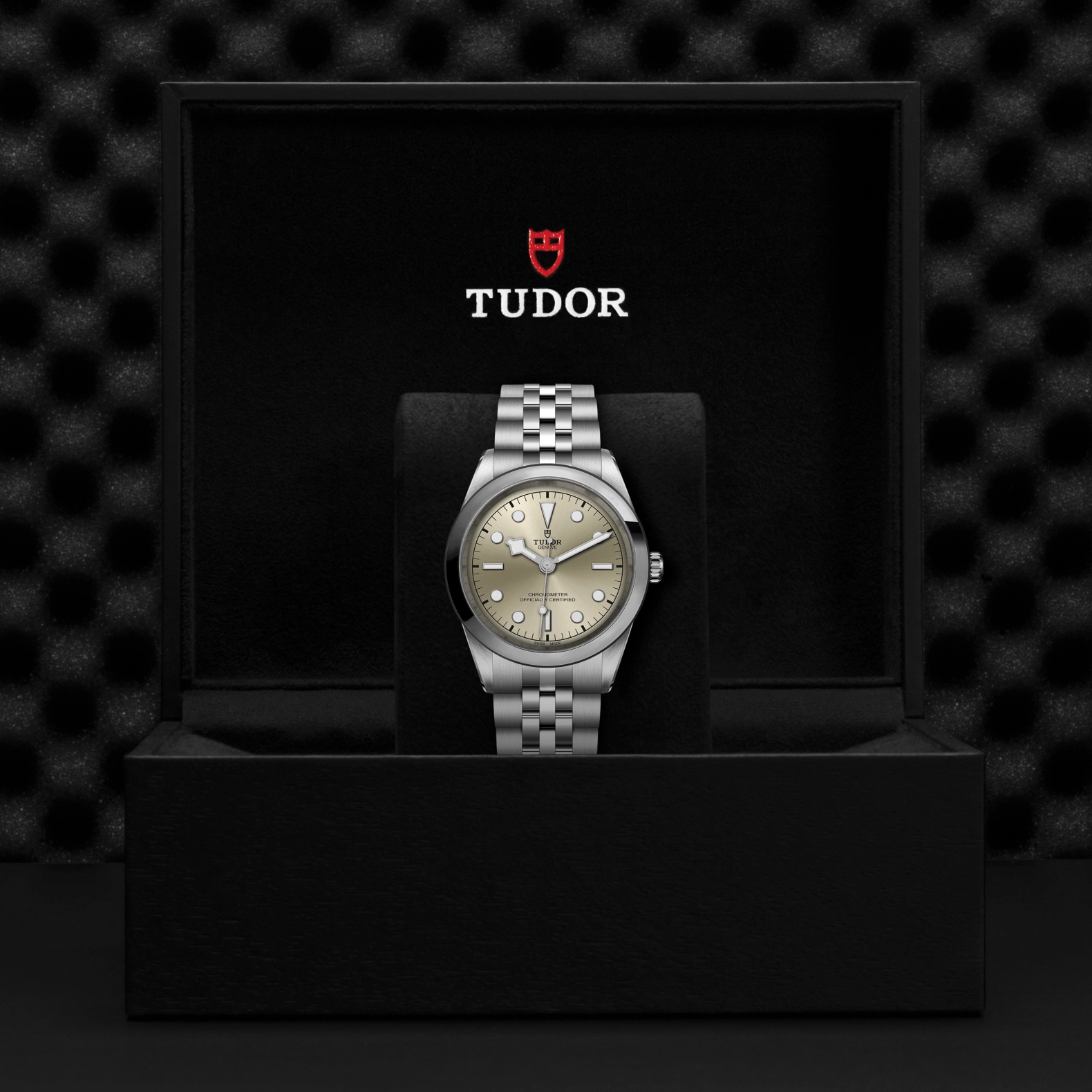 TUDORBlack Bay One 41Black Bay One41mm steel case with polished and satin finish - M79680-0003 at Cortina Watch Singapore