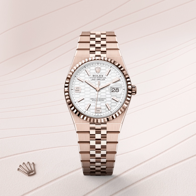 Rolex Land-Dweller in 18 ct Everose gold, M127235-0001 - Cortina Watch Singapore