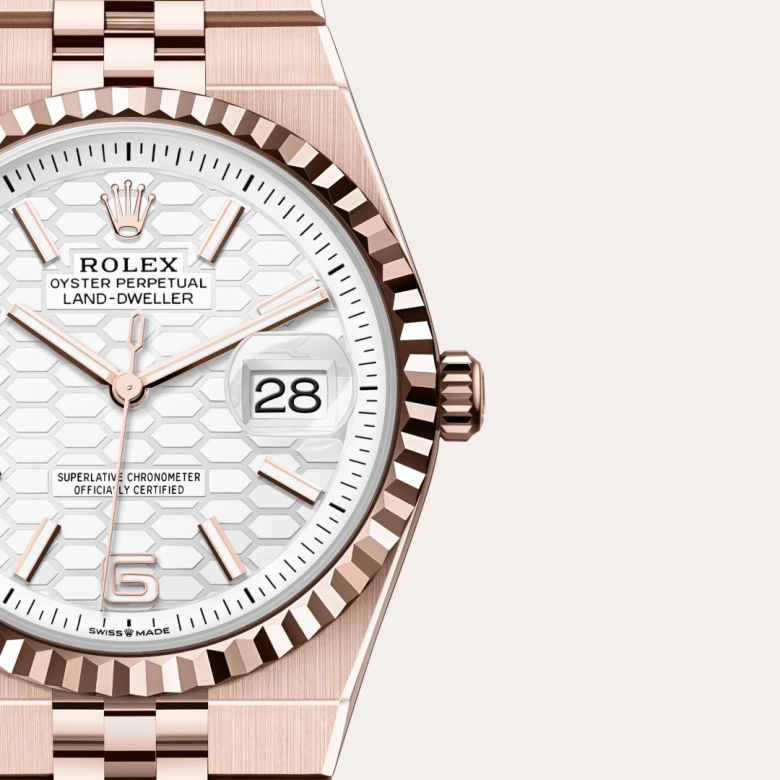 Rolex Land-Dweller in 18 ct Everose gold, M127235-0001 - Cortina Watch Singapore