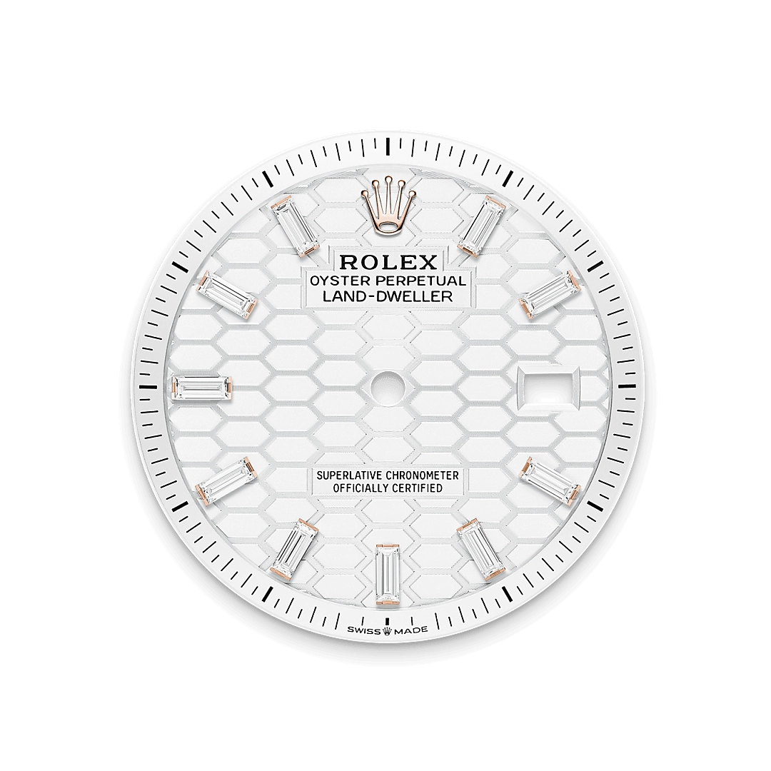 Rolex Land-Dweller in 18 ct Everose gold, M127285TBR-0002 - Cortina Watch Singapore