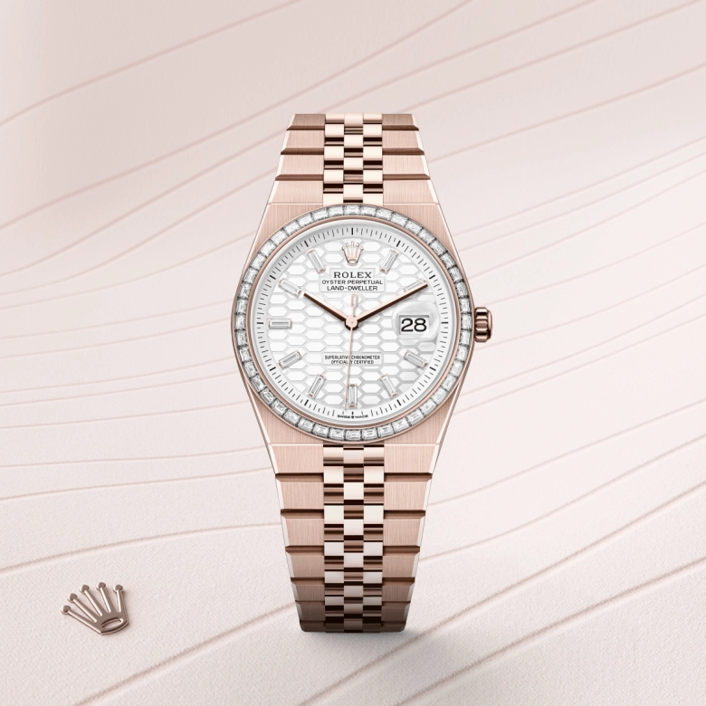 Rolex Land-Dweller in 18 ct Everose gold, M127285TBR-0002 - Cortina Watch Singapore