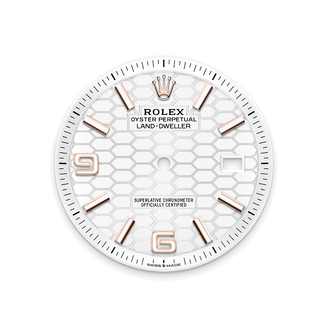 Rolex Land-Dweller in 18 ct Everose gold, M127335-0001 - Cortina Watch Singapore