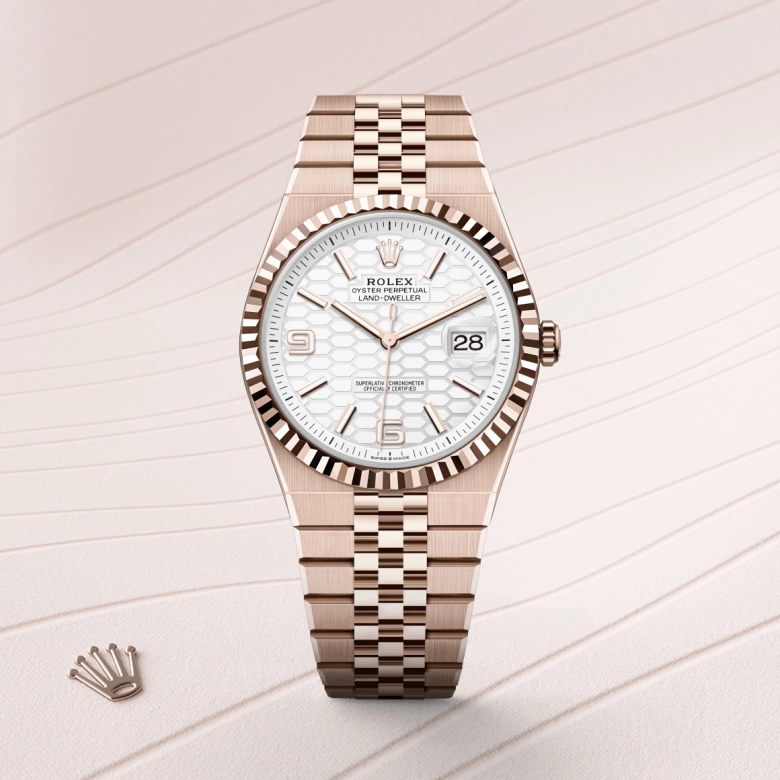 Rolex Land-Dweller in 18 ct Everose gold, M127335-0001 - Cortina Watch Singapore