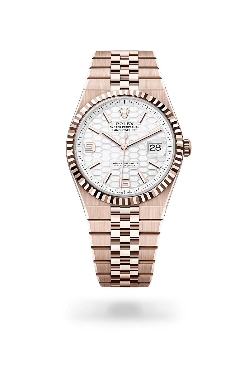 Rolex Land-Dweller in 18 ct Everose gold, M127335-0001 - Cortina Watch Singapore